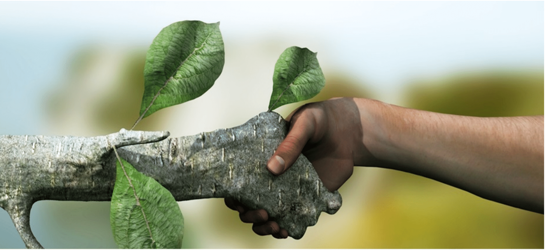 Sustainability